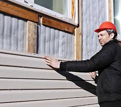 Best Siding Painting and Refinishing  in Geneva, AL